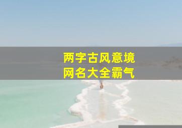 两字古风意境网名大全霸气