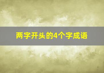 两字开头的4个字成语