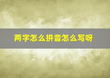 两字怎么拼音怎么写呀