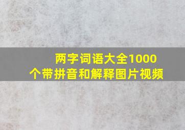 两字词语大全1000个带拼音和解释图片视频