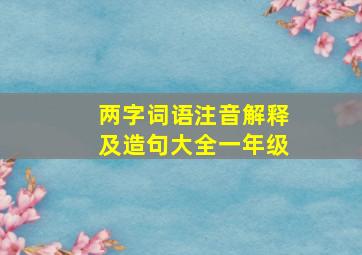 两字词语注音解释及造句大全一年级