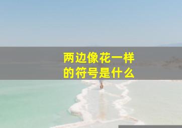 两边像花一样的符号是什么