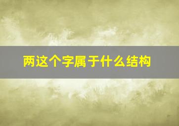 两这个字属于什么结构