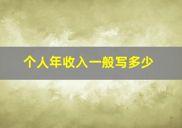 个人年收入一般写多少