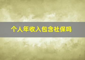 个人年收入包含社保吗