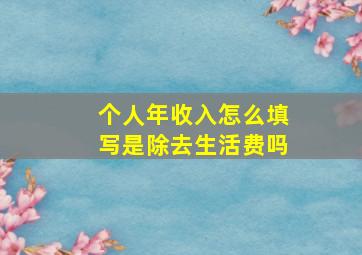 个人年收入怎么填写是除去生活费吗