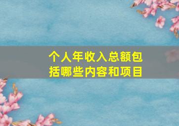 个人年收入总额包括哪些内容和项目