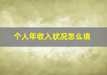 个人年收入状况怎么填