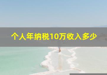 个人年纳税10万收入多少