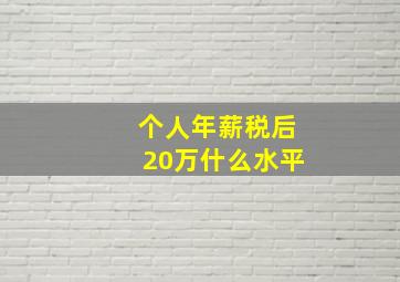 个人年薪税后20万什么水平