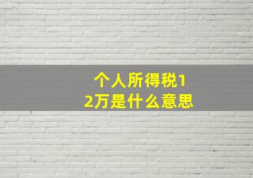 个人所得税12万是什么意思