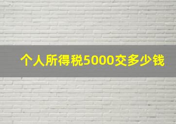 个人所得税5000交多少钱