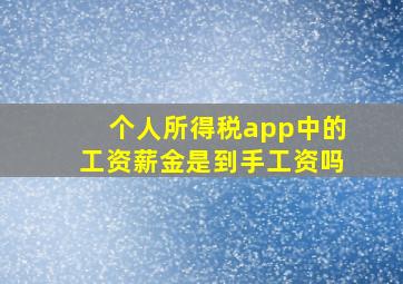 个人所得税app中的工资薪金是到手工资吗