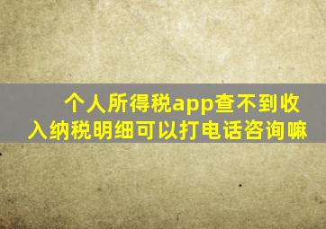 个人所得税app查不到收入纳税明细可以打电话咨询嘛