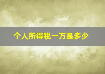 个人所得税一万是多少