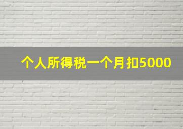 个人所得税一个月扣5000