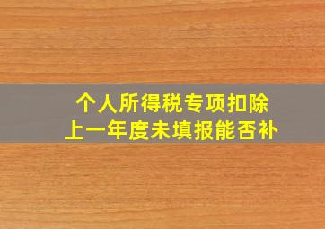 个人所得税专项扣除上一年度未填报能否补