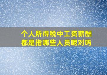 个人所得税中工资薪酬都是指哪些人员呢对吗