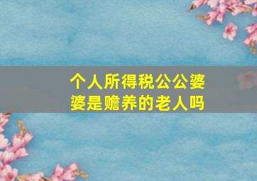 个人所得税公公婆婆是赡养的老人吗