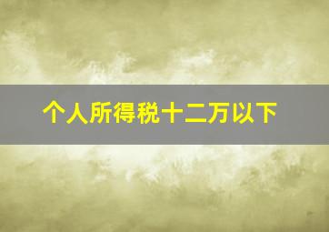 个人所得税十二万以下