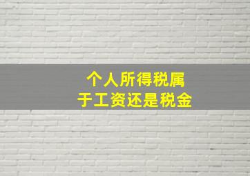 个人所得税属于工资还是税金