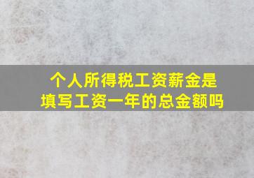 个人所得税工资薪金是填写工资一年的总金额吗