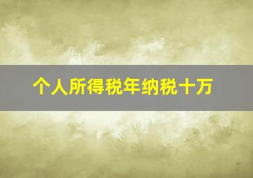 个人所得税年纳税十万