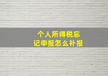 个人所得税忘记申报怎么补报