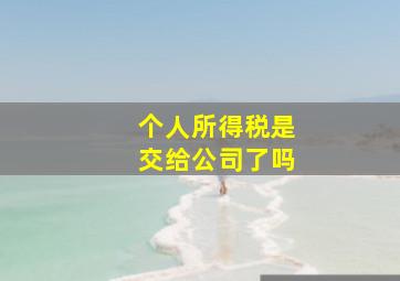 个人所得税是交给公司了吗