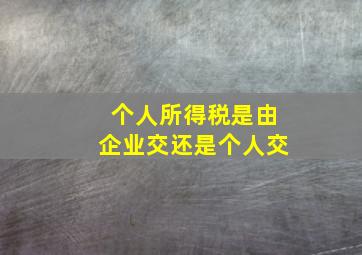 个人所得税是由企业交还是个人交