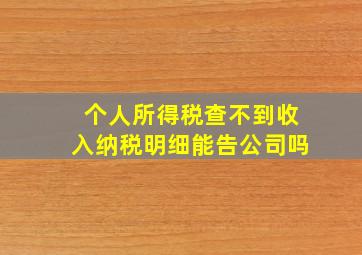 个人所得税查不到收入纳税明细能告公司吗