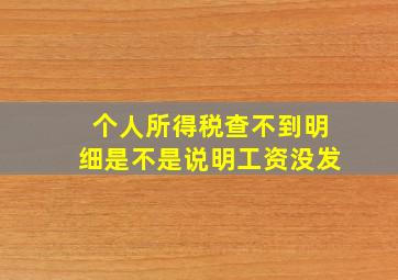 个人所得税查不到明细是不是说明工资没发