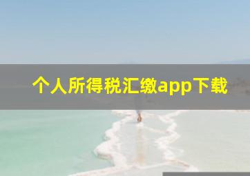 个人所得税汇缴app下载