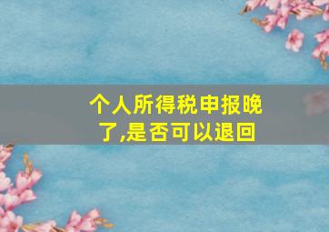 个人所得税申报晚了,是否可以退回