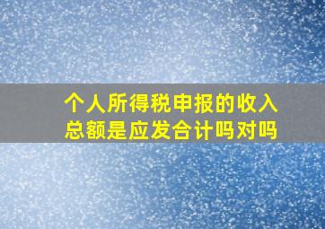 个人所得税申报的收入总额是应发合计吗对吗