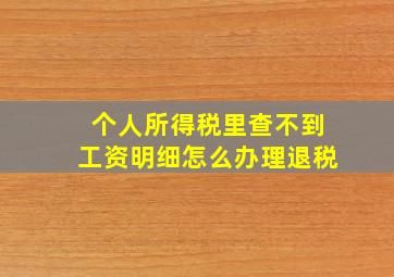 个人所得税里查不到工资明细怎么办理退税