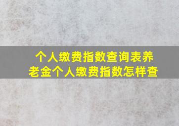 个人缴费指数查询表养老金个人缴费指数怎样查