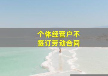 个体经营户不签订劳动合同