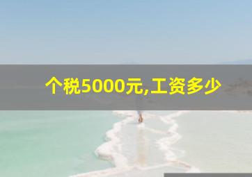 个税5000元,工资多少