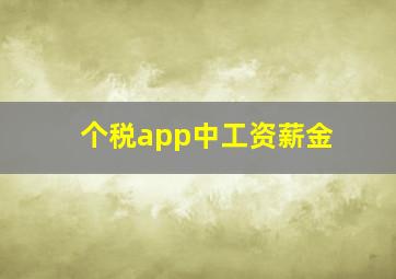 个税app中工资薪金