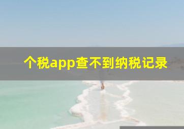 个税app查不到纳税记录