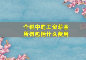 个税中的工资薪金所得包括什么费用