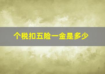 个税扣五险一金是多少