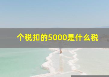 个税扣的5000是什么税