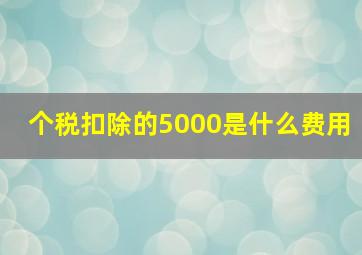 个税扣除的5000是什么费用