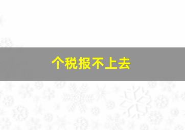 个税报不上去