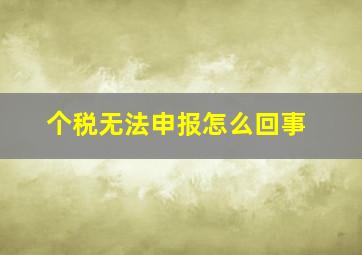 个税无法申报怎么回事