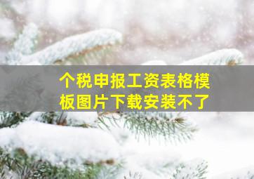 个税申报工资表格模板图片下载安装不了