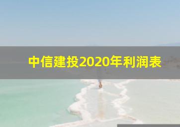 中信建投2020年利润表