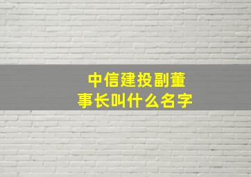 中信建投副董事长叫什么名字